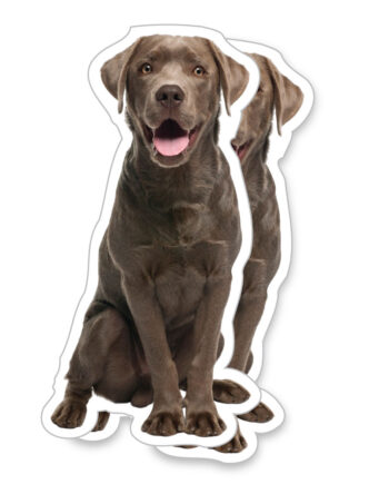 StickerDrops StickerBuilder Die Cut Pet Body