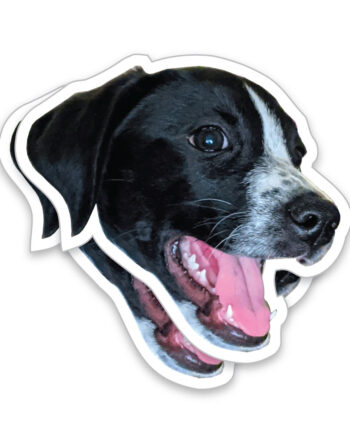 StickerDrops StickerBuilder Die Cut Pet Face